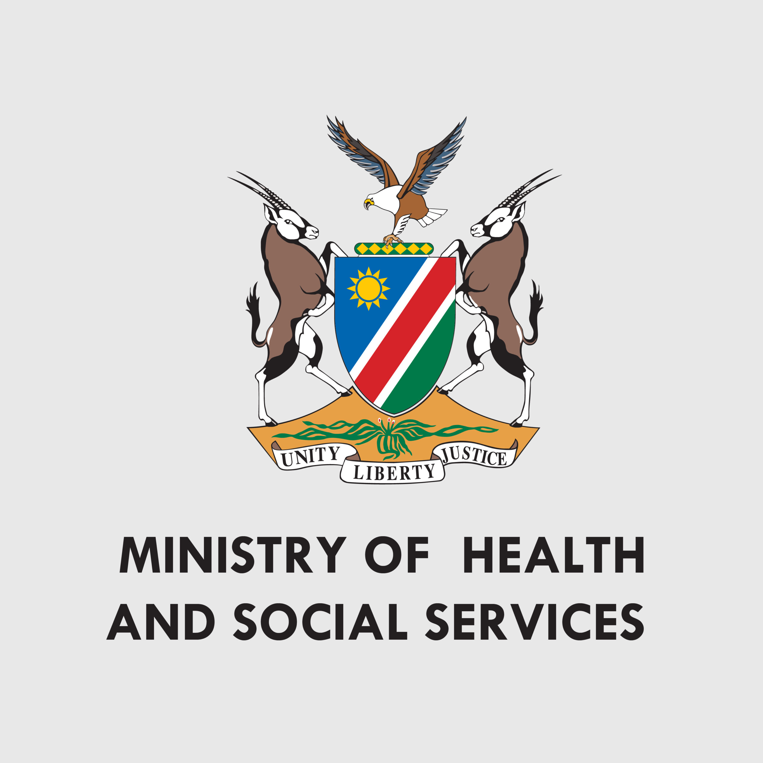 Ministry of Health and Social Services-01